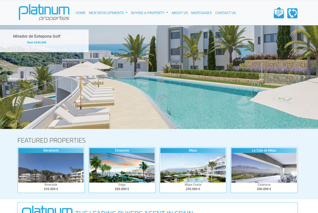 Platinum Properties website design